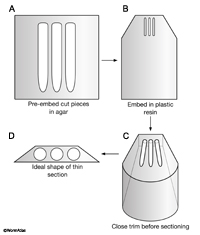 EMSTSFIG1